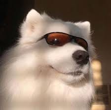 สมบัติ เมทะนี avatar