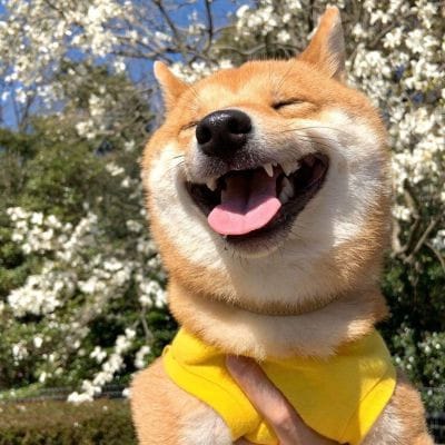 นนท์ ธนนท์ avatar